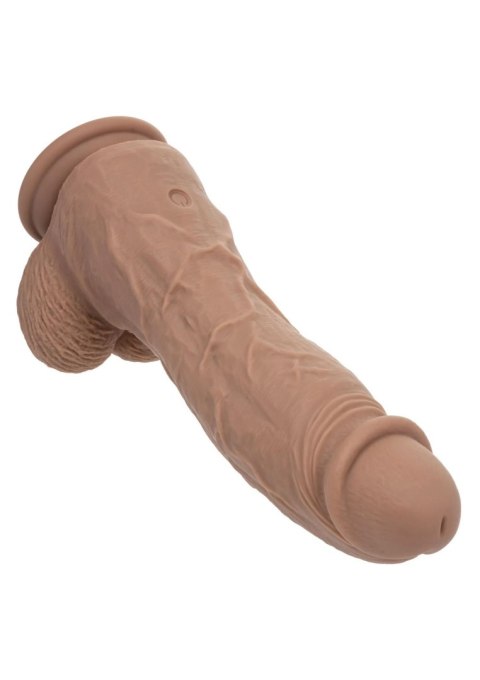 Big Dick Vibrating Energy Studs - Brown SCALA