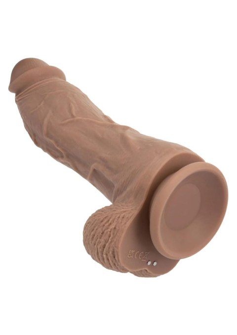 Big Dick Vibrating Energy Studs - Brown SCALA