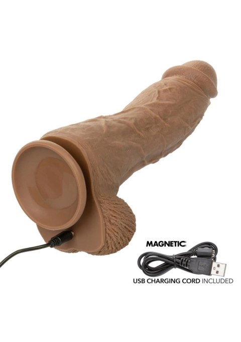 Big Dick Vibrating Energy Studs - Brown SCALA