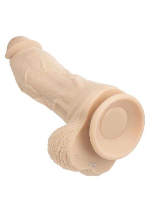 Big Dick Vibrating Energy Studs - Skin SCALA