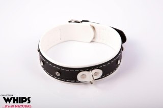 Wiązania - Obroża damska 4 cm, biała Whips Collection