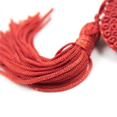 Bielizna-Heart Nipples Tassels RED Boss of toys