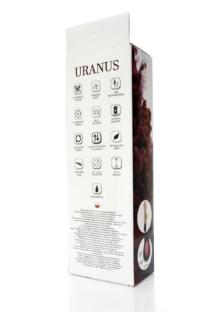 Wibrator-URANUS-USB-12function,up&down vibrator Boss of toys