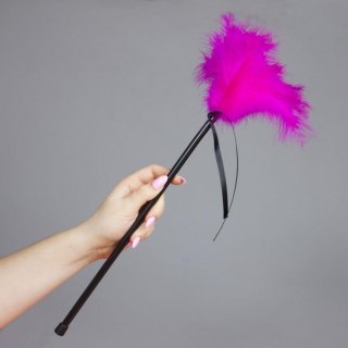 Plumero Plumas Fucsia Boss of toys