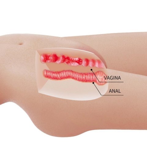 Crazy Bull Mia Vagina & Anal Masturbator Boss of toys