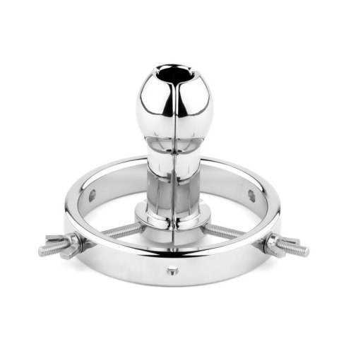 Metal Anal Spreade - Fetish Boss of toys