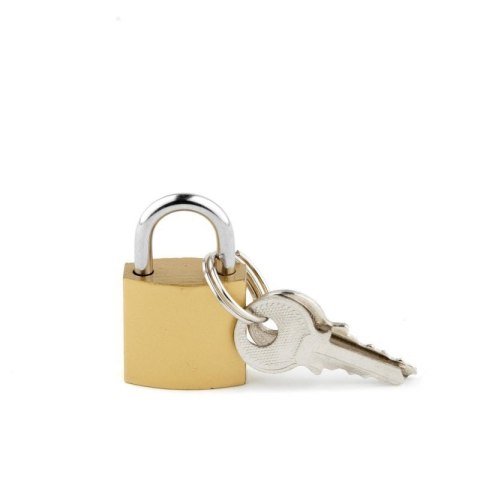 Metal Penis Cock Cage - Short Boss of toys