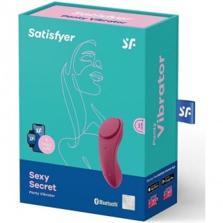 Sexy Secret Panty Vibrator Boss of toys