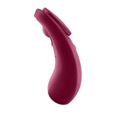Sexy Secret Panty Vibrator Boss of toys
