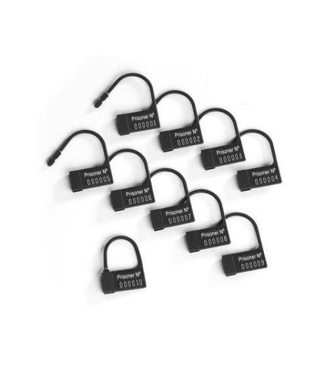 Jednorazowe Plastikowe Kłódki Do Pasa Cnoty Plastic Seals 10Szt Mystim Mystim