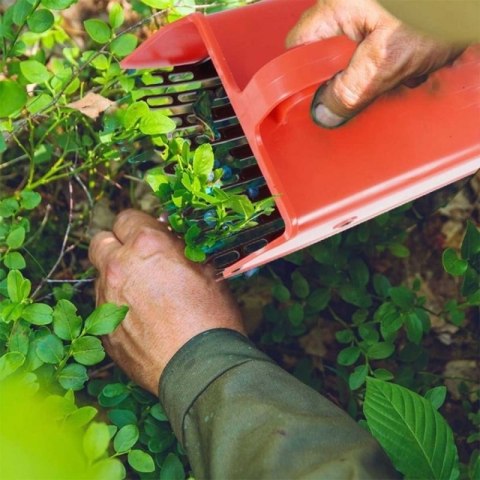 ZBIERACZKA GRZEBIEŃ DO JAGÓD BORÓWEK PORZECZEK Orion