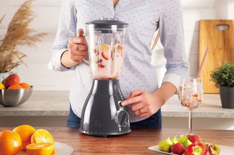 BLENDER KIELICHOWY MIKSER BERLINGER HAUS BH-9284 Berlinger haus