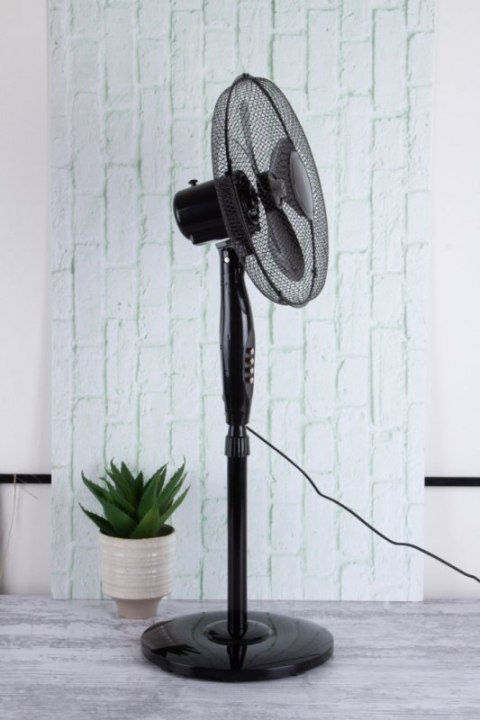 WENTYLATOR PODŁOGOWY OSCYLACYJNY BERLINGER HAUS BH-9130 BLACK ROSE Berlinger haus