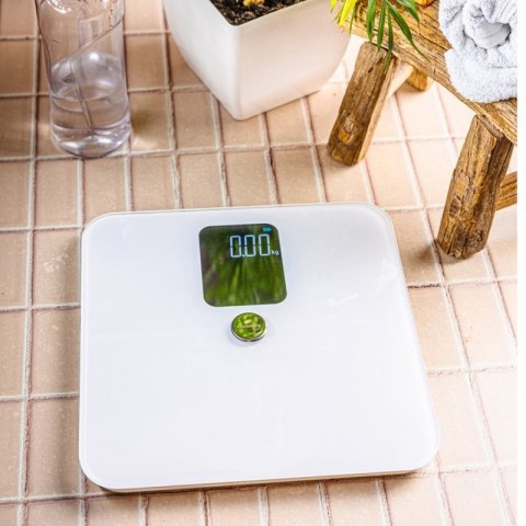 ANALITYCZNA WAGA ŁAZIENKOWA SMART IOS ANDROID KLAUSBERG KB-7941 Klausberg