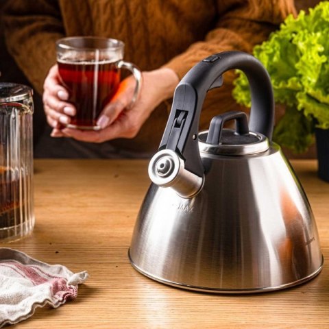 CZAJNIK STALOWY Z GWIZDKIEM 2,5L KLAUSBERG KB-7951 Klausberg