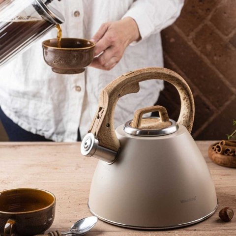 CZAJNIK STALOWY Z GWIZDKIEM 2,5L KLAUSBERG KB-7954 Klausberg