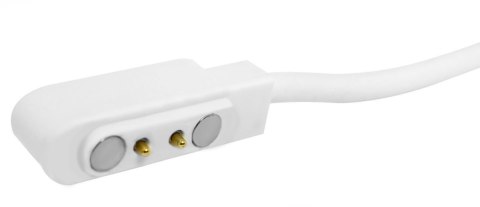 Kabel ładujący do Smartwatcha GIEWONT GW230 GW330 GW460 2,5 mm GWK6 Giewont