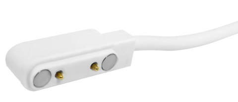 Kabel ładujący do Smartwatcha GIEWONT GW440 7,3 mm GWK3 Giewont