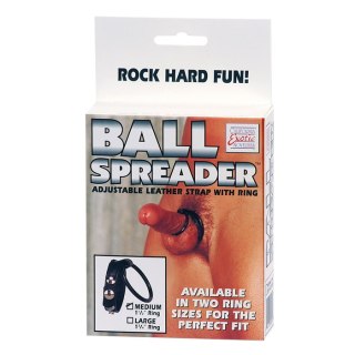 Medium Leather Ball Spreader Black CalExotics