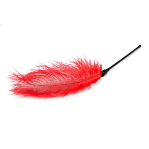 Pejcz-Red Feather Tickler Easytoys