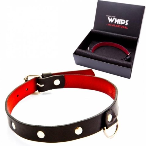 Wiązania-WHIPS obroża damska, cienka Whips Collection
