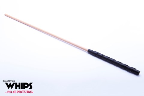 Pejcz-WHIPS trzcina bukowa Whips Collection