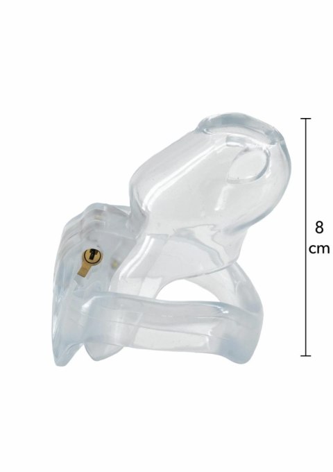 Clear Control Cock Cage Regular Hidden Desire