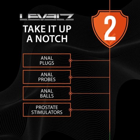 Slim Silicone Anal Plug - XL - Black Levelz