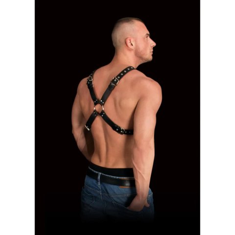 Adonis - High Halter Harness Ouch!