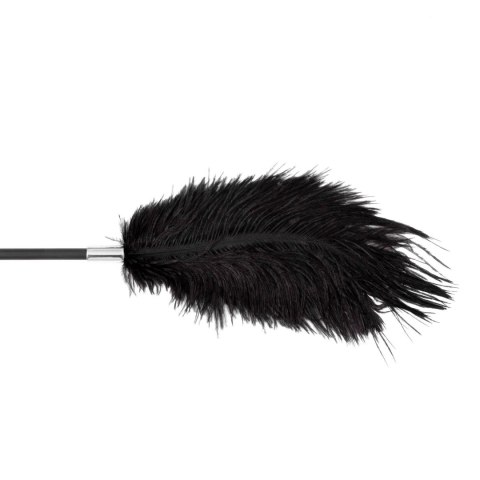 Fetish B-Series Tickler & Whip 1.0 Fetish B - Series