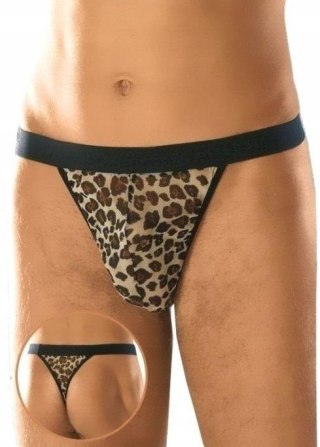 Thong 4457 - panther S/L SoftLine Collection