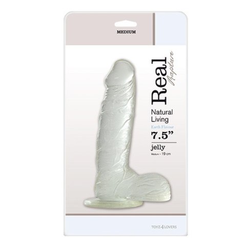 Dildo-JELLY DILDO REAL RAPTURE CLEAR 7.5" MSX Distribution S.r.l.