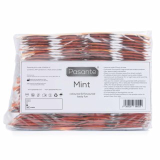 Pasante Mint Tingle Condoms Bulk Packs 144 psc PASANTE - Boys of Toys Sp. z o.o. (dystrybutor)
