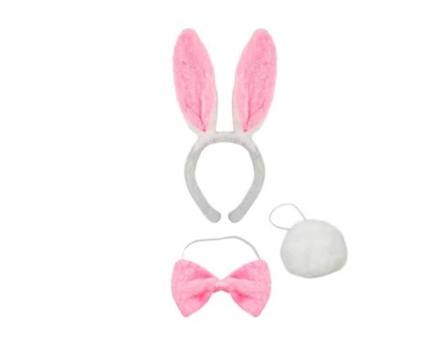 Fun Products - Bunny Roleplay Kit POWER ESCORTS
