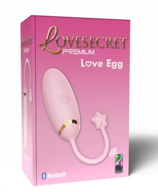 Lovesecret Premium Love Egg App Function POWER ESCORTS