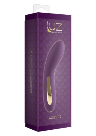 Luminate Vibrator Purple SCALA