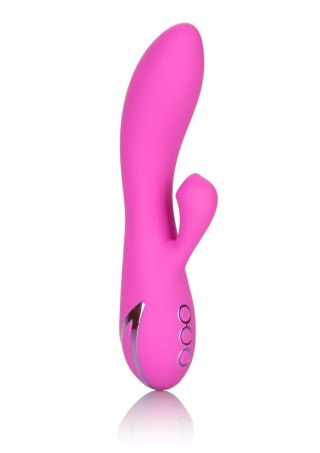 Malibu Minx Pink SCALA