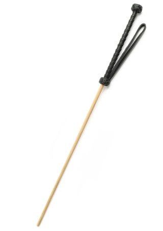 The Obedience Cane SCALA