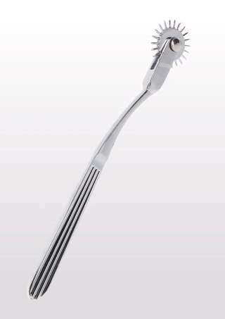 Warterberg Wheel Silver SCALA
