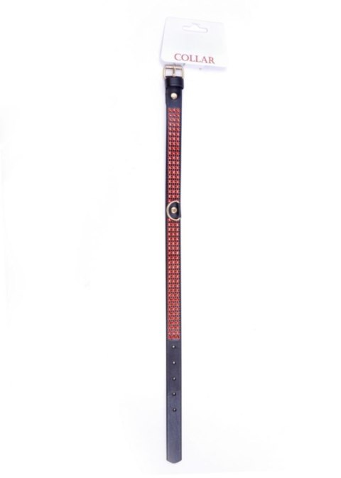 Fetish B - Series Collar with crystals 2 cm Red Line Boys of Toys Sp. z o.o.