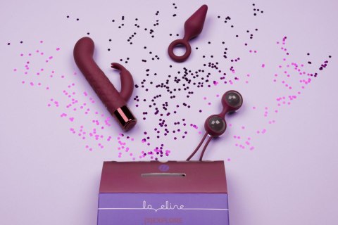 (S)explore - Toy Kit for Her - Dark Cherry SHOTS