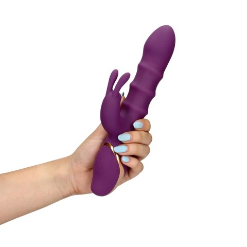 3 Up-and-Down Moving Rings Vibrator SHOTS