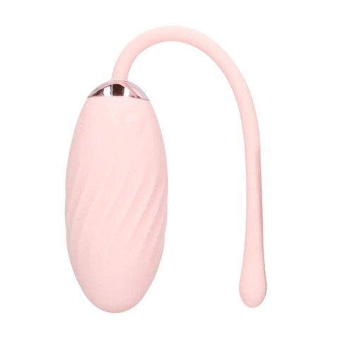 Felicite - 10 function Egg Vibe - Pink SHOTS