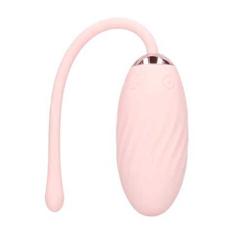 Felicite - 10 function Egg Vibe - Pink SHOTS