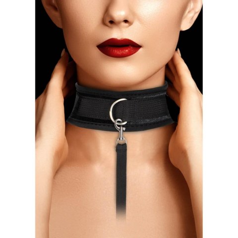 Velvet Adjustable Collar with Leash SHOTS