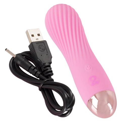 Cuties Mini Vibrator Rose 2.G ORION