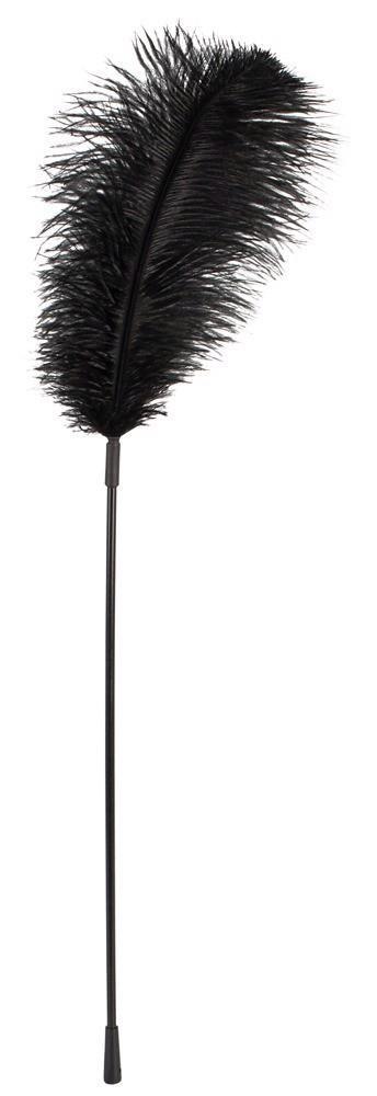 Black feather Bad Kitty ORION