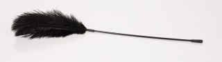 Black feather Bad Kitty ORION