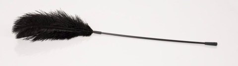 Black feather Bad Kitty ORION