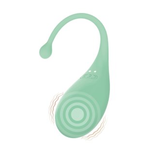 AD.Palpitation Mint (Huevo Vibrador + Cable + App) CNEX A.I.E.,S.L.